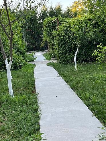 Bağ evlərinin kirayəsi: 40 kv. m, 2 otaqlı, Hovuzsuz, İnternet, Kanalizasiya, Kombi — 6