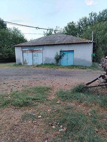 bayilda kiraye evler 2018: Ferma/təsərrüfat kompleksi - Heyvandarlıq üçün tikili və açıq — 5