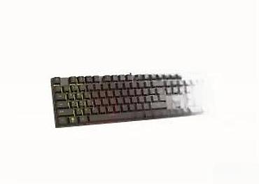 Tastature: MS ELITE C520 mehanička gejming tastatura - Potpuno mehanički tasteri — 14