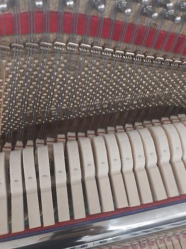 Pianolar: Pianolar — 7