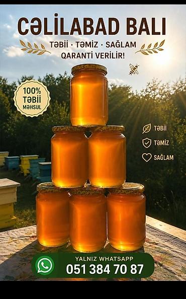 tebi bal: Cəlilabad balı – 100% təbii məhsul. Arıxanalardan birbaşa yığılmış — 1