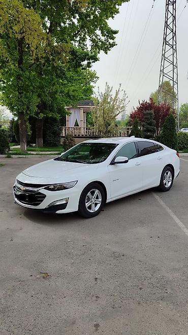 spark 2017: Chevrolet Malibu: 2019 г., 1.3 л, Автомат, Бензин, Седан — 1