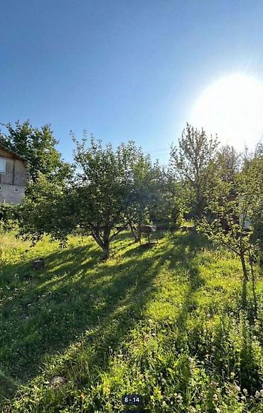 Жер тилкелери: 5 соток, Курулуш, Кызыл китеп, Техпаспорт — 8