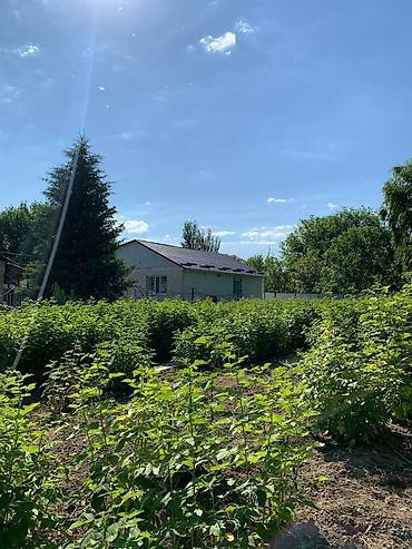 Продажа коттеджей и домов: Продаю большой дом из 7ми комнат в городе Каинда. Сан узел в доме — 17