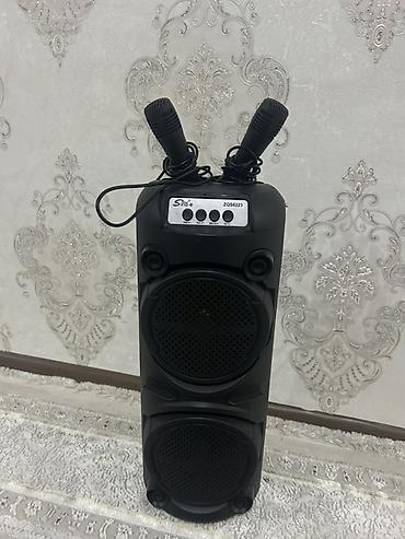 ses aparatı: SNOY ZQS6223 portativ akustik sistemi - İkiqat 6.5" dinamikli güclü — 3