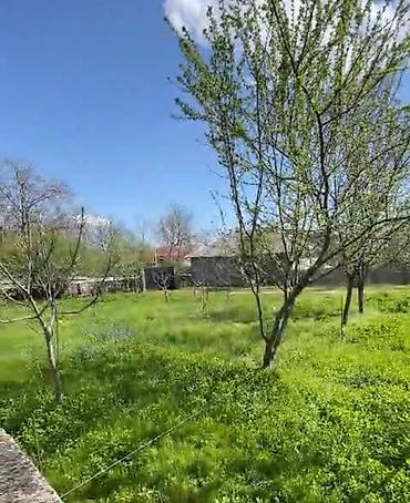 vendam: 10 sot, Kupça (Çıxarış) — 1