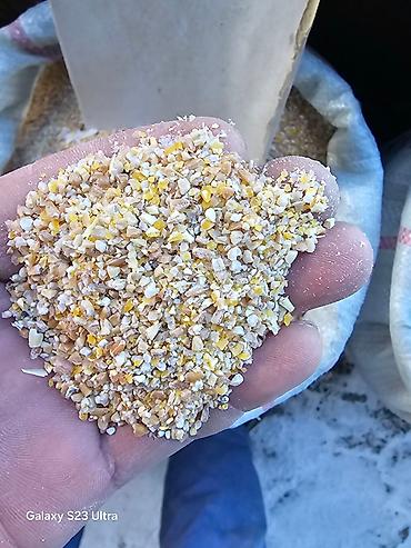 Эспарцет: Эспарцет [тюп район ],кара беде урону [кара балтаныкы — 8