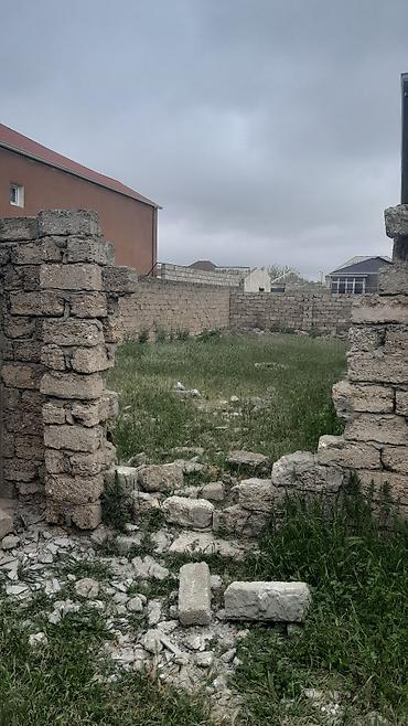 berde: Tikinti — 5