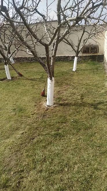 Уборка территории: Уборка территории, Уборка двора и сада — 6