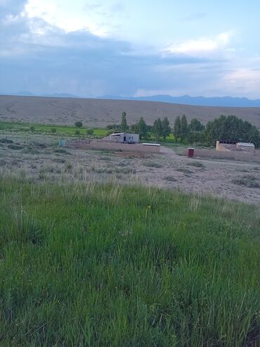 Продажа домов: Дом, 40 м², 4 комнаты, Собственник, Косметический ремонт — 12