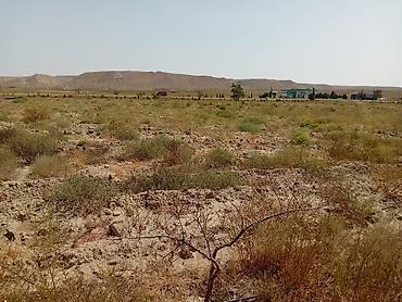 ev alqi satqi kiraye: 200 sot, Kənd təsərrüfatı, Mülkiyyətçi, Kupça (Çıxarış) — 2