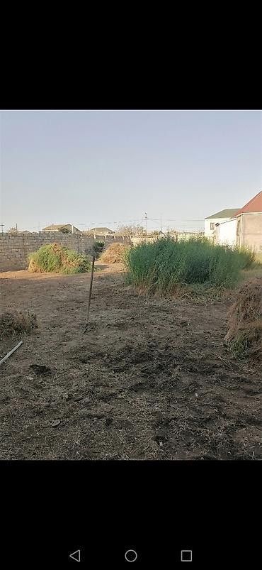landşaft dizayn: Salam aleykum Adim Sahib 44yaşim var Bakida yaşayiram Gündelik olaraq — 6