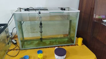 Akvariumlar: Dördbucaq akvarium, Balıqlarla birlikdə, 120 l, Ünvandan götürmə, Ödənişli çatdırılma, Rayonlara çatdırılma -da lalafo.az — 13 Akvariumlar: Dördbucaq akvarium, Balıqlarla birlikdə, 120 l, Ünvandan götürmə, Ödənişli çatdırılma, Rayonlara çatdırılma — 13