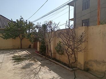 Qonaq otağı dəstləri: Klassik üslubda qonaq otağı dəsti Mebel komplekti: - 3 nəfərlik geniş — 29