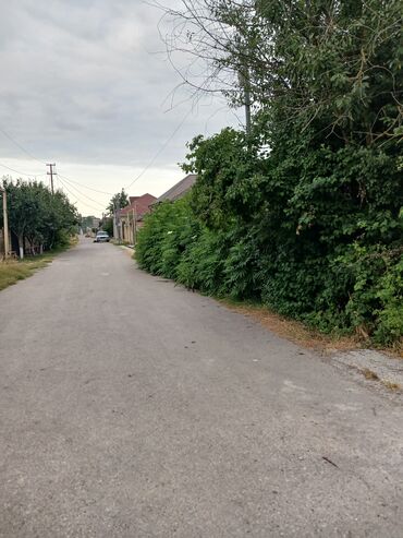 Tulumlar: 4 sot, Tikinti, Mülkiyyətçi, Kupça (Çıxarış)