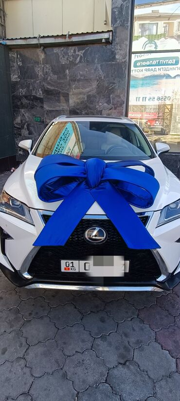 Организация мероприятий: Организация мероприятий | Гелевые шары, Аниматоры, Оформление мероприятий — 3