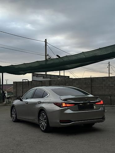 80 б4: Lexus ES: 2019 г., 2.5 л, Автомат, Бензин, Седан — 6