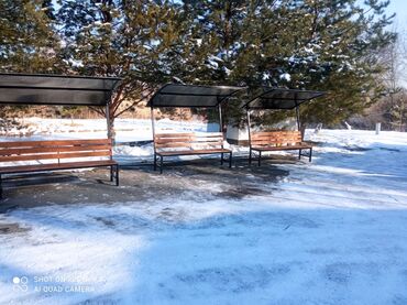 золотая золотую: Скамейка