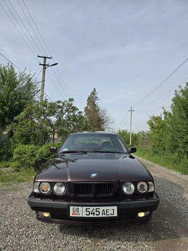 две колонки и сабвуфер: BMW 5 series: 1994 г., Бензин