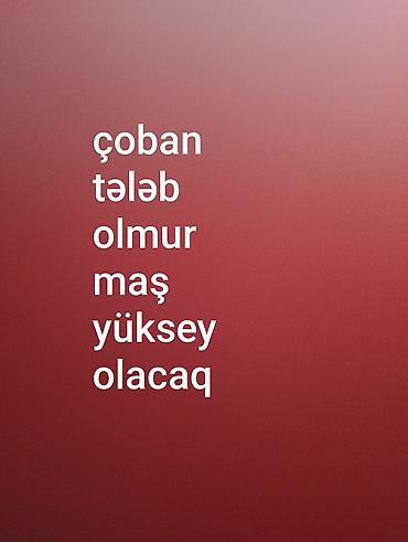 isci tələb olunur: Xidmət: Çoban işi üçün işçi axtarılır Təsvir: - Çoban tələb olunur - — 1