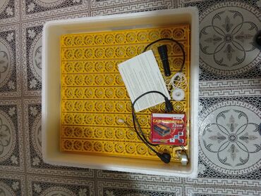 vitrin soyuducu gence: 100 yumurta, Azərbaycan, Tam avtomat