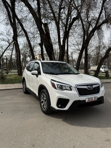 Subaru: Subaru Forester: 2019 г., 2.5 л, Вариатор, Бензин, Кроссовер