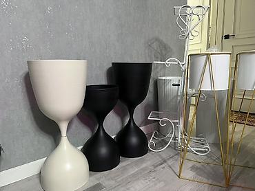 Фикусы: Фикус Бенджамина в напольных кашпо - Два взрослых деревца в отдельных — 62