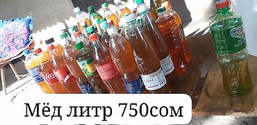 дойки ко: Помидоры Оптом, В розницу — 2