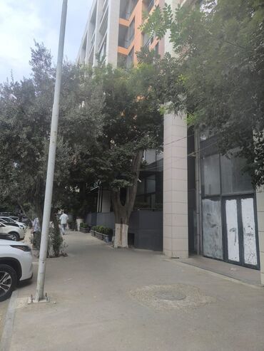 Yeni tikili: 2 otaqlı, Yeni tikili, m. Nəriman Nərimanov, 53 kv. m — 5