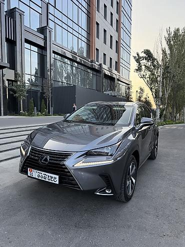 Lexus: Lexus NX: 2020 г., 2.5 л, Вариатор, Гибрид, Кроссовер — 3