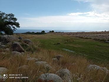 Продажа участков: 30 соток, Красная книга — 16