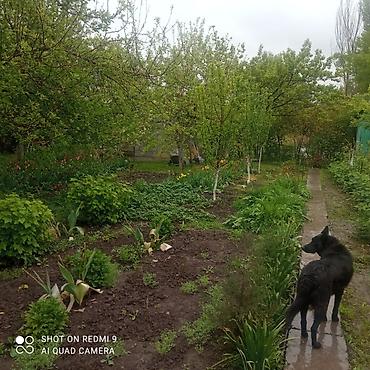 Продажа коттеджей и домов: Продаётся дом, 80 кв. м. 6 комнат, кирпичный, тёплый. Хозпостройки — 22