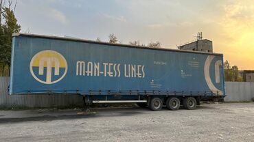 испаритель на чарон: Прицеп, DAF, Шторный, от 12 т, Б/у