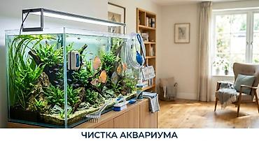 узи чистка: Обслуживание и чистка аквариума! Решаю проблему грязного аквариума: от — 1
