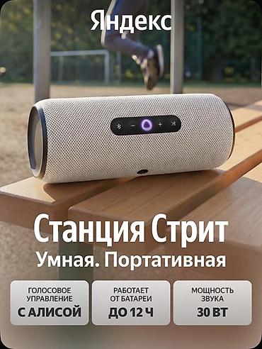 Динамики и колонки: Яндекс Станция Стрит — умная колонка, которую можно брать с собой! — 11