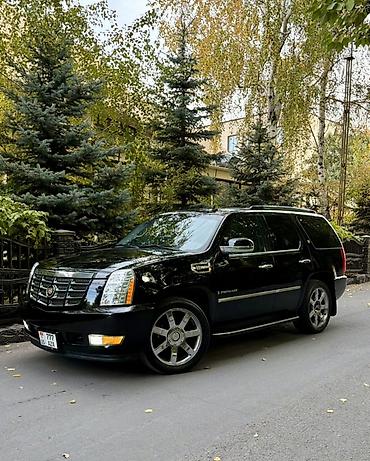 byd atto 8: Cadillac Escalade: 2009 г., 6 л, Автомат, Бензин, Внедорожник — 2