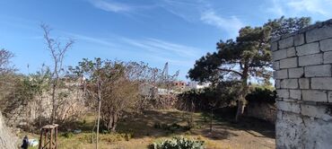 Torpaq sahələrinin satışı: 6 sot, Biznes üçün, Mülkiyyətçi — 9