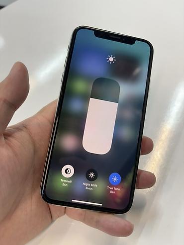 Apple iPhone: IPhone X, Серебристый — 10