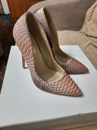 Salonke: Salonke, Opposite, 36 — 13