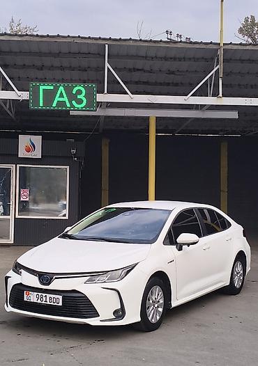 honda corolla: Toyota Corolla: 2019 г., 1.8 л, Вариатор, Гибрид, Седан — 1