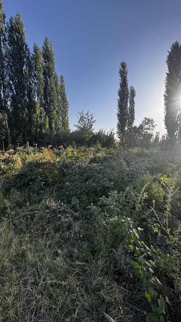 агентства недвижимости бишкек список: 7 соток, Бизнес үчүн, Кызыл китеп, Сатып алуу-сатуу келишими, Үлүштүк катыш келишими