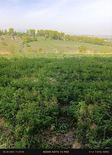 кел кел: 17 соток, Айыл чарба үчүн — 3