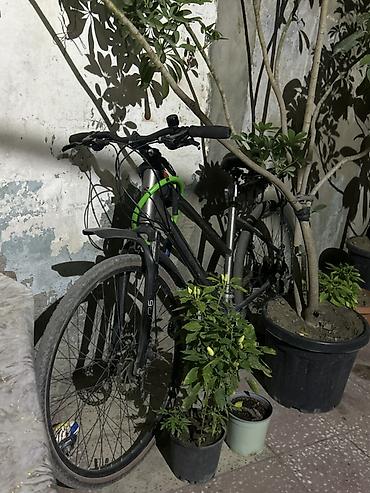 Şəhər tipli velosiped - Yüngül və möhkəm alüminium gövdə - Düz sükan