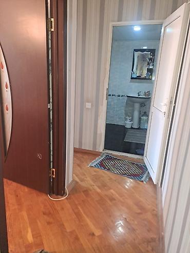 1 комнатная квартира снять: Астара, 1 комната, Вторичка, 50 м² — 2