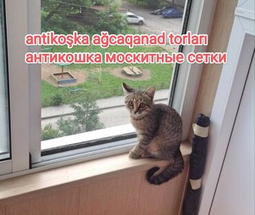 Jalüzlər: Jaluz. Biz tam dövriyyəni həyata keçiririk: biz ölçülərinizə uyğun — 10