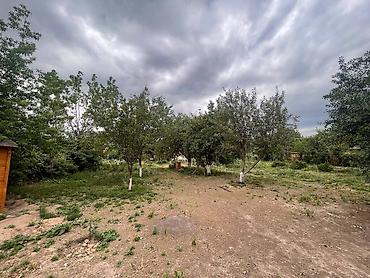 Sale of cottages and houses: Продам дом с участком 20 соток + помещение под магазин + складское — 4