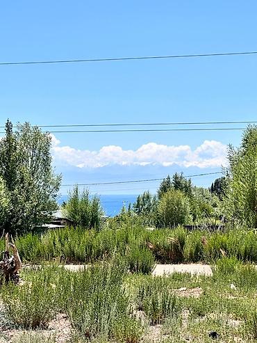 Жер тилкелери: 6 соток, Курулуш, Сатып алуу-сатуу келишими, Кызыл китеп — 2