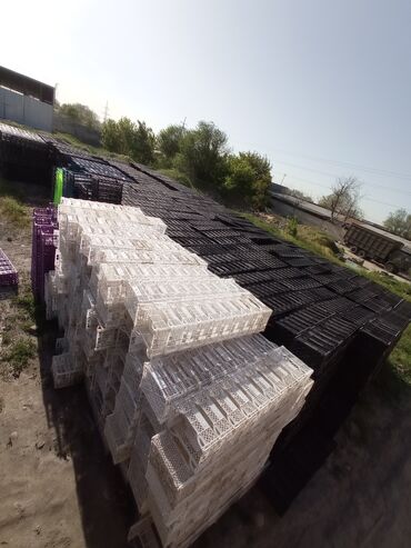 Продаю б/у пластиковые ящики стандарт размер 30×40 . Бишкек тольео