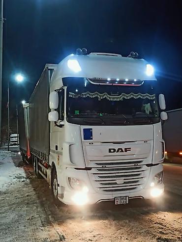 Тягачи: Тягач, DAF, 2019 г., Шторный — 2