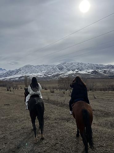 Туристические услуги: Конная прогулка - это мощнейшая эмоциональная встряска, которая — 9